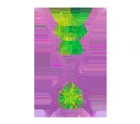 �������ޱ� ������vs�ص�20250809