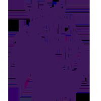 Ӣ�� ��ɭ��vsŵ����ɭ��20250913