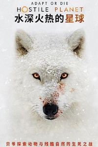 ˮ����ȵ�����